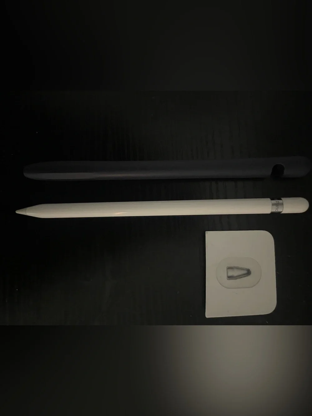 Apple Pencil with Extra Tip & Blue Protective Cover